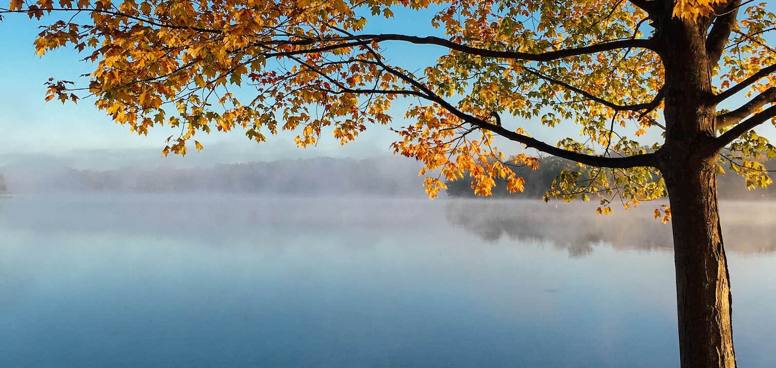 The Autumnal Man